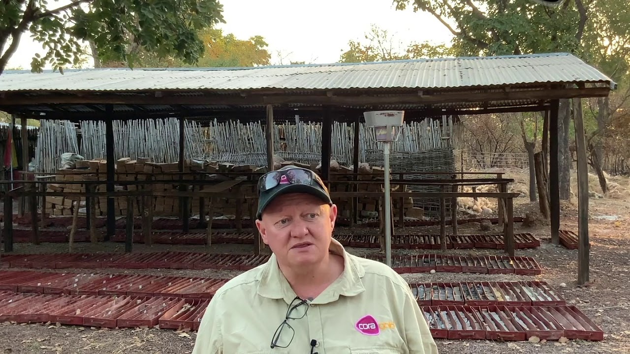 Norm Bailie Head Of Exploration At Cora Gold