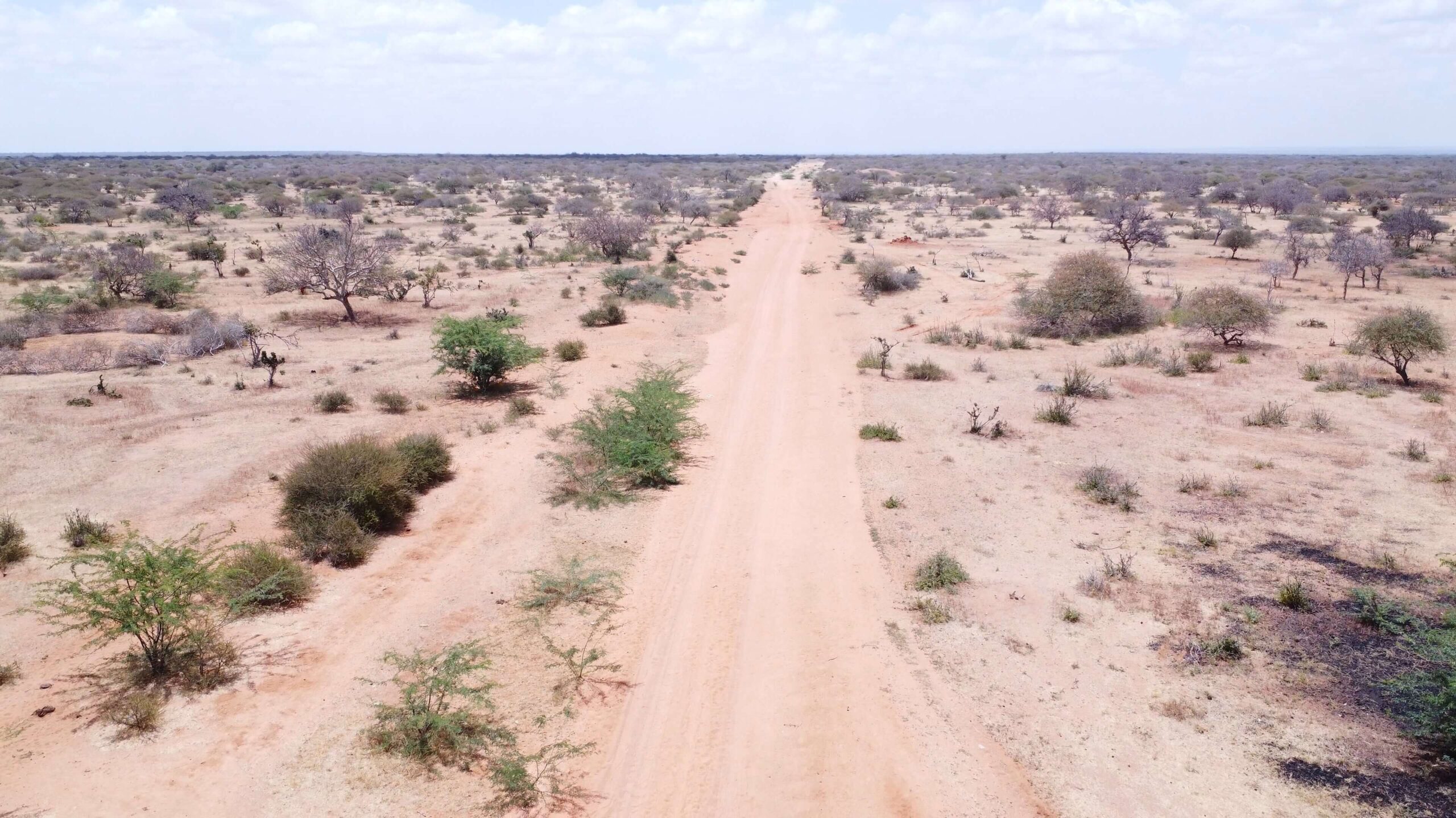 Cora Gold Landscape Drone Peoplewalking Video Thumb