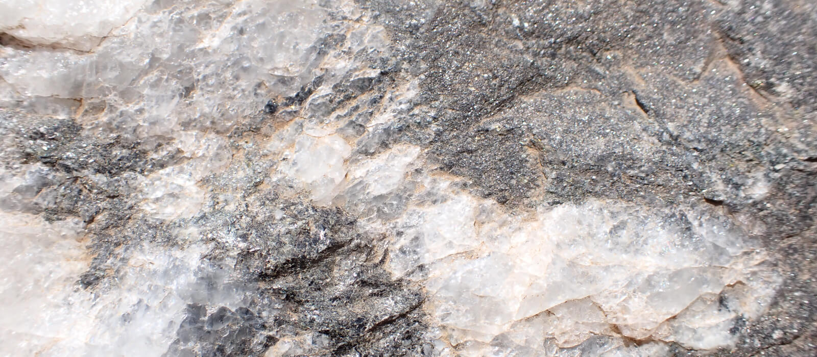 Cora Gold Rock Sample Banner 2 1600x700